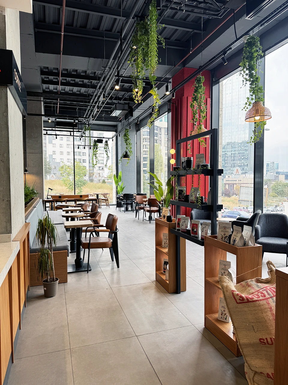 Geniş cam cepheli kafe tasarımı — doğal ışık, sarkıt bitkiler ve kırmızı aksan duvar