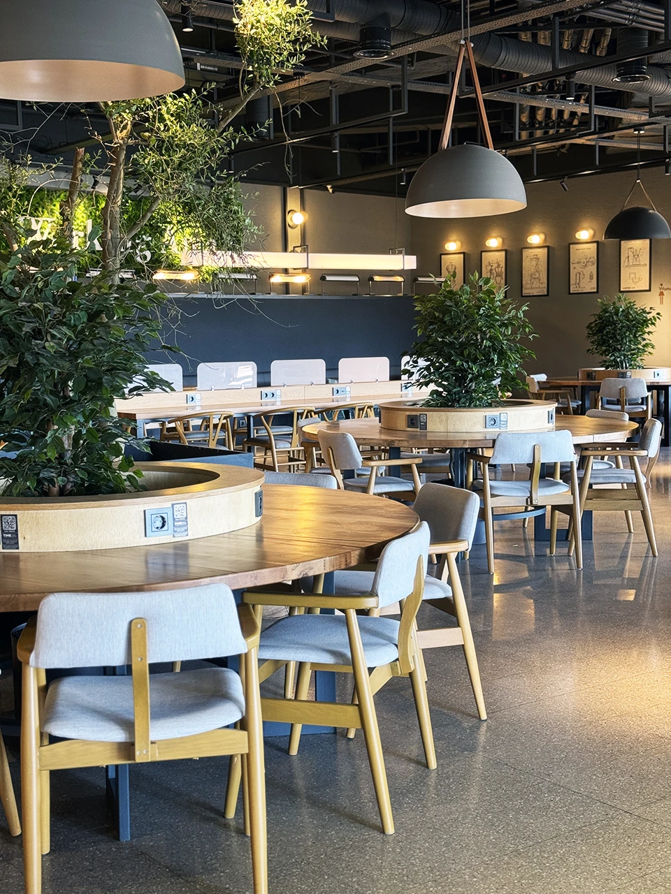 Kafe bitkili ortak alan — biyofilik tasarım, bitki hazneli yuvarlak masalar